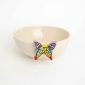 The Rainbow Butterfly Bowl | PossiBOWL Series