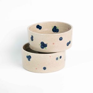 The Blueberry Salad Bowl