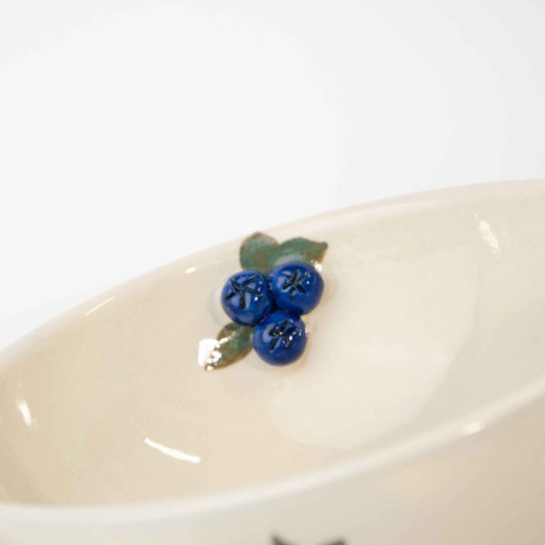 The 3d Blueberry Bowl | PossiBOWL Series
