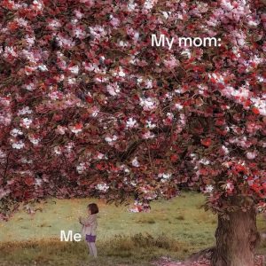The Bloom Glass