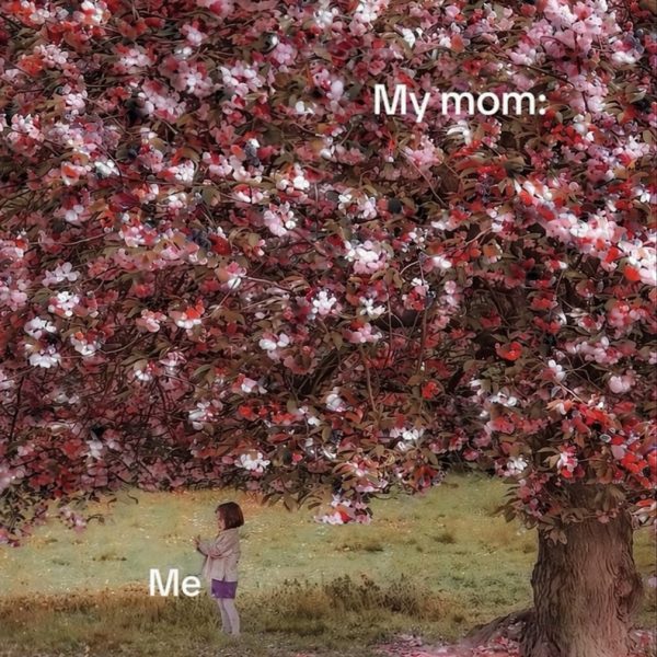 The Bloom Glass