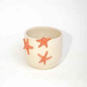 The Starfish Cup