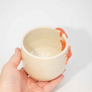The Starfish Cup
