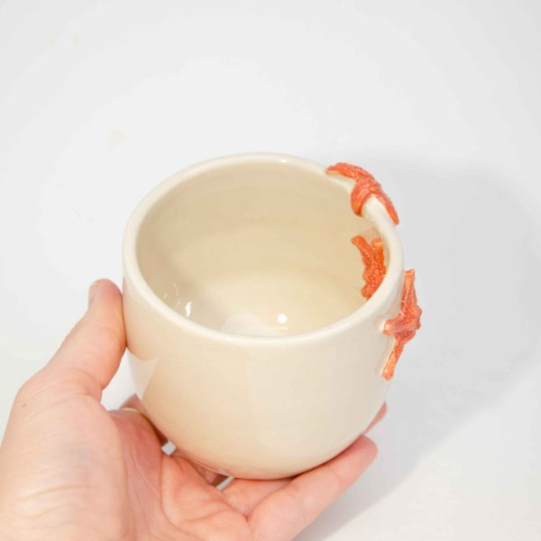 The Starfish Cup