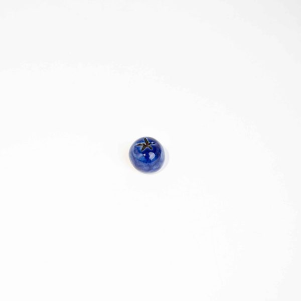 Μαγνητάκι Blueberry