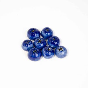 Μαγνητάκι Blueberry