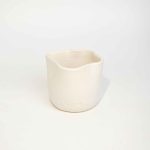 The Wavy Cup