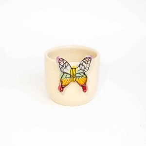 The Rainbow Butterfly