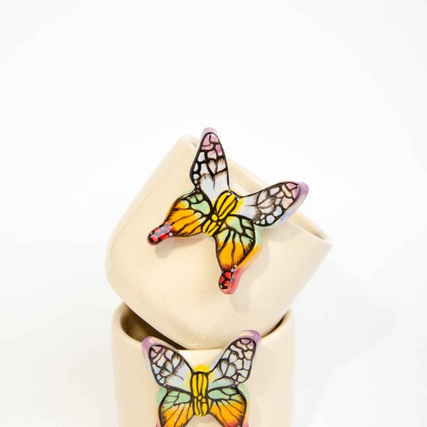 The Rainbow Butterfly