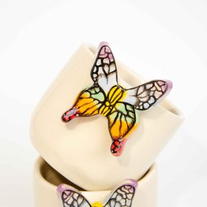 The Rainbow Butterfly