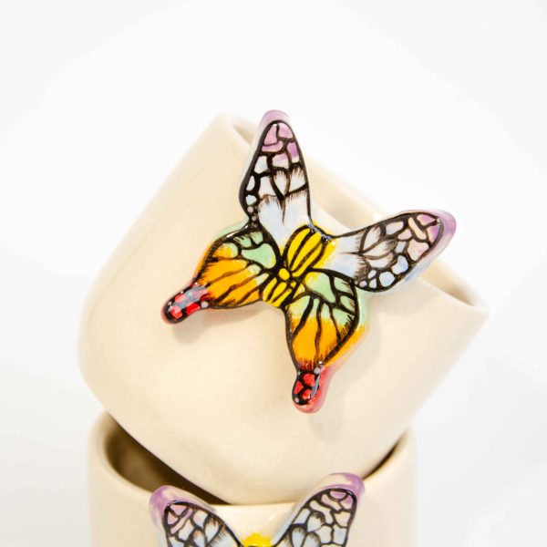 The Rainbow Butterfly