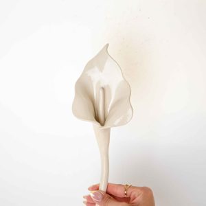The Ceramic Lily