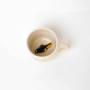 The 3d Dory Cup